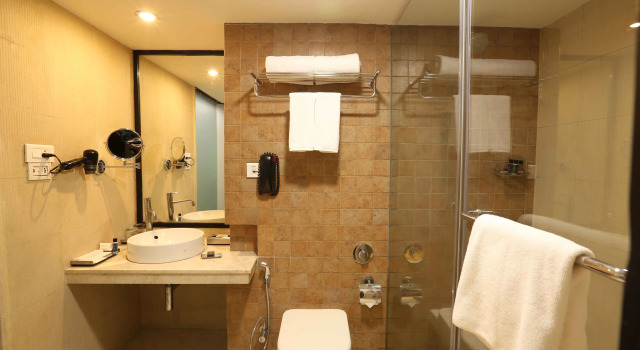 Номер Deluxe Mosaic Original,Noida