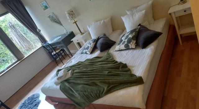 Двухместный номер Standard с видом на сад Møn Klintholm Vintage B&B