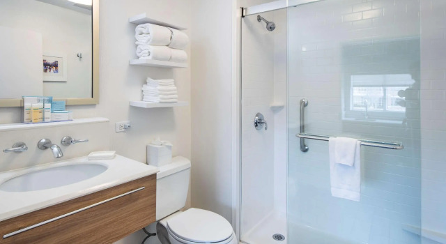 Двухместный люкс Hampton Inn & Suites Lincolnshire