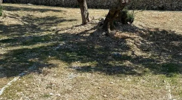 Apartments Lucija