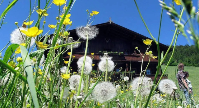Schatzberg, Prenota Hotel Hotel a Tirolo con parcheggio, Parcheggio