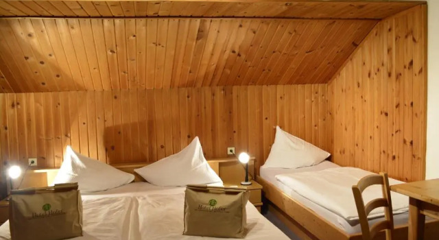 Номер Economy Hotel Hofer