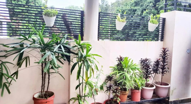 Nature View Homestay, Rezervovat Hotel Déhrádún Uttarakhand