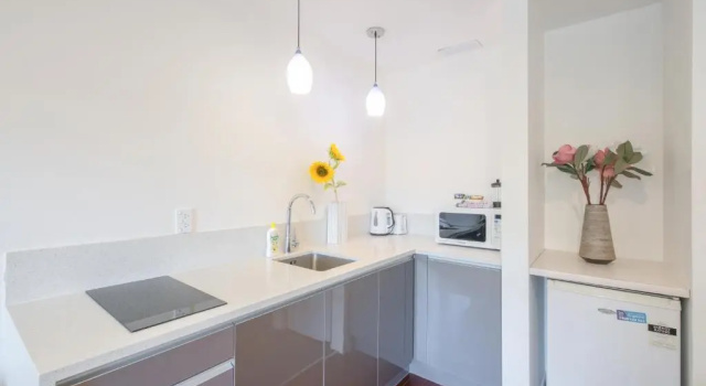 Люкс Auckland Newmarket Motel