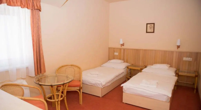 Трёхместный номер Standard Termálhotel Martfű