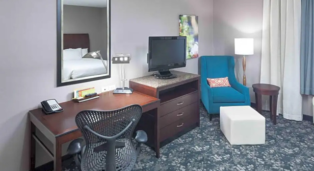 Номер Premium Hilton Garden Inn Detroit/Novi