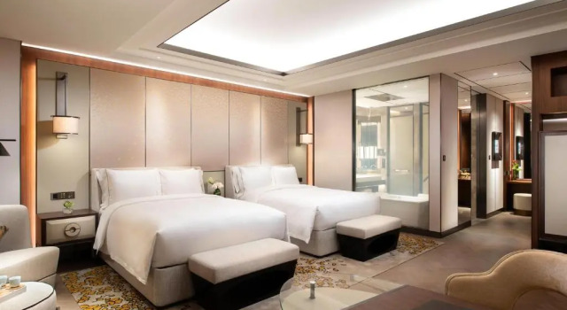Двухместный номер Deluxe с видом на город Raffles Shenzhen