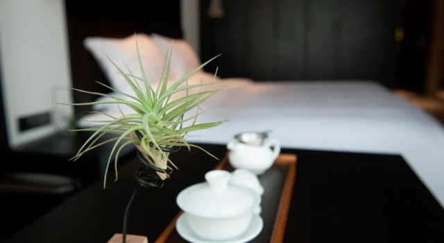 Номер Classic Eastern House Xian