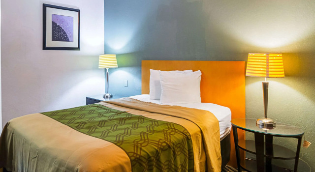 Номер Standard Econo Lodge South Holland
