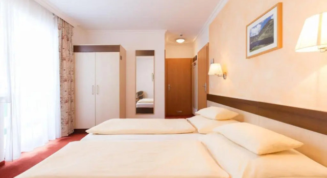 Номер Standard Hotel-Restaurant Planaihof