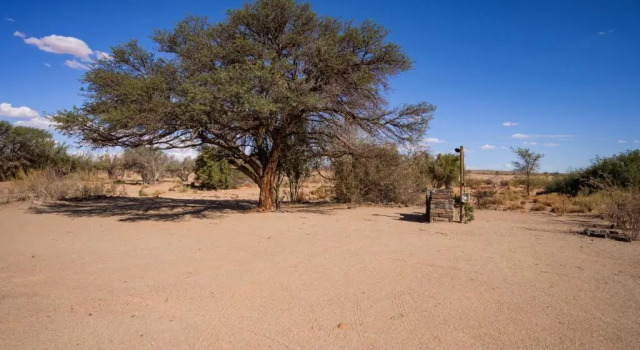 Тент Canyon Roadhouse Campsite