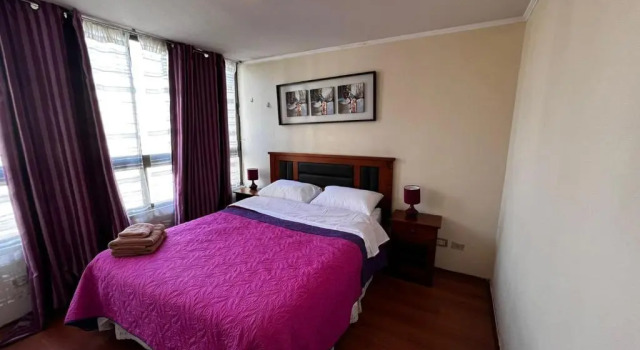 Апартаменты Apartamentos Bulnes