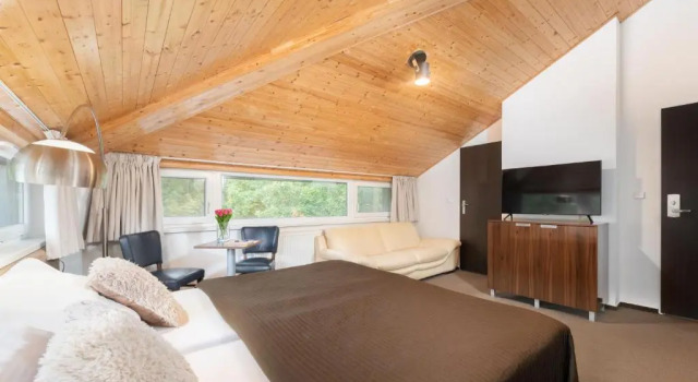 Номер Classic Hotel U Šuláka
