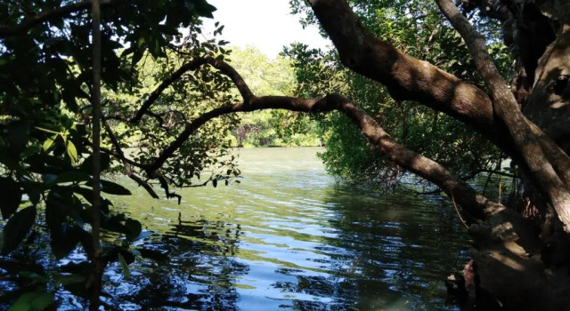 Villa de Lagoon View