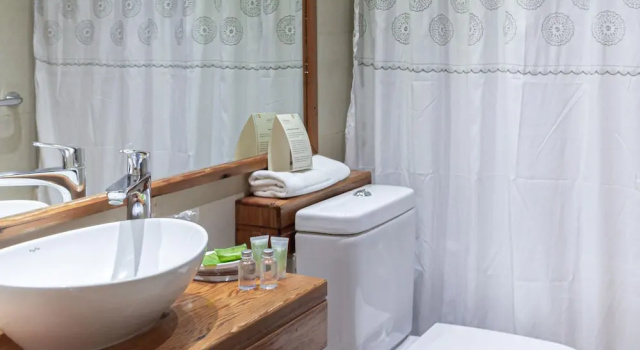 Двухместный номер Standard Terral Hotel & SPA