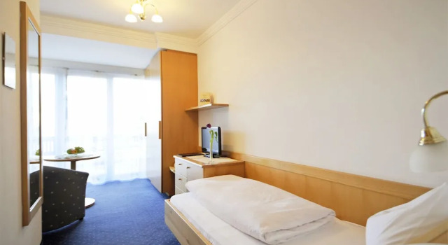 Одноместный номер Standard с красивым видом из окна Hotel Erzherzog Johann