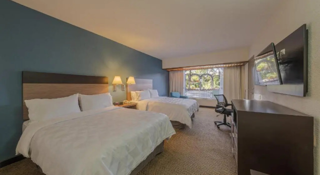 Четырёхместный номер Standard с видом на бассейн Holiday Inn Guadalajara Expo Plaza del Sol by IHG