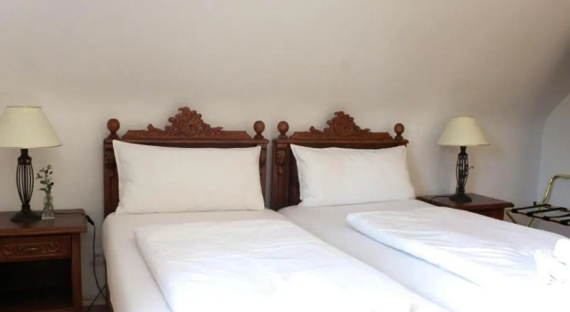 Двухместный номер Standard с видом на горы Hotel Viktoria