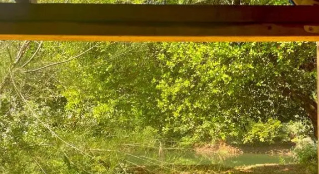 Hem Eco Farm & Stay, Book Landbrugsophold Gårdophold i Goa, Landbrugsophold