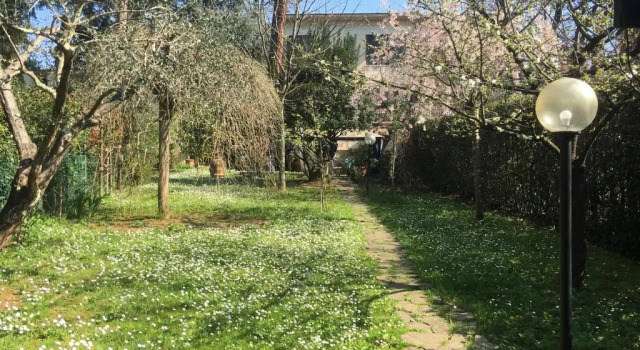 Студия Old Town in the green: Federico's apartment.