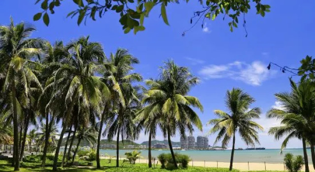 Jiuqi Sanya iHome Seaview Design Homestay (Sanya Bay Coconut Dream Corridor Store), Book Boutique Sanya Hainan