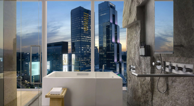 Двухместный номер Deluxe с видом на город Park Hyatt Seoul