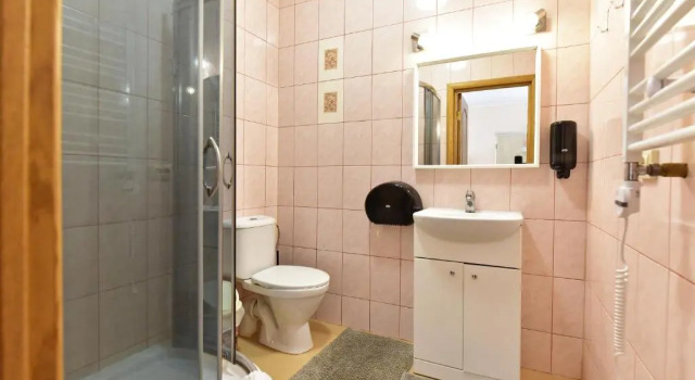 Двухместный номер Standard с балконом Green Gile Villa in Druskininkai Center