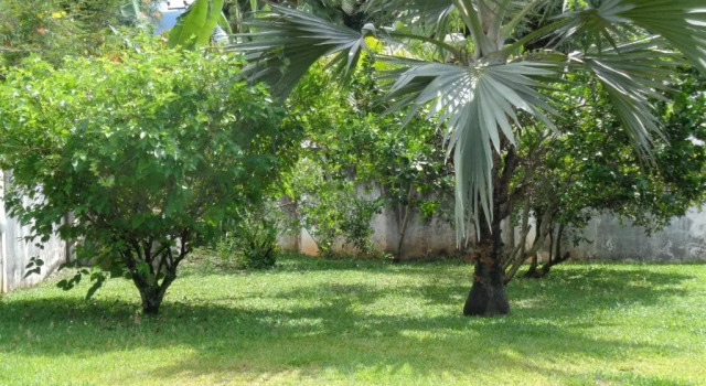 Вилла с видом на море Beach View Villa - Beauvallon villas