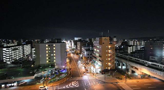 Номер Standard Hotel Wisteria Nara