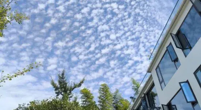 Chongqing Chashan Bamboo Sea Zhuliang Mountain View Homestay, Prenota Hotel Hotel a Chongqing Area con parcheggio, Parcheggio
