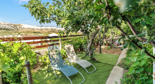 Апартаменты Apartments Jelica