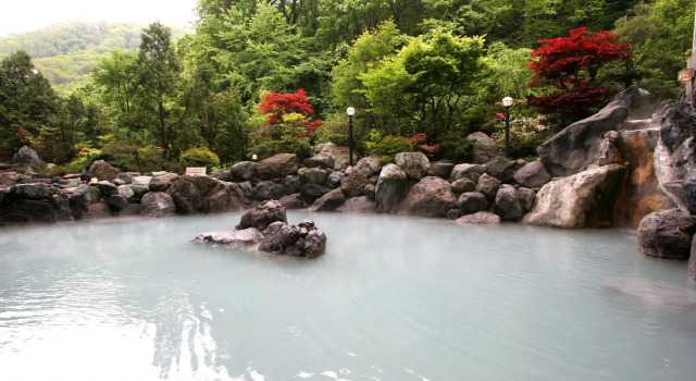 Номер Japanese-Style Hotel Mahoroba