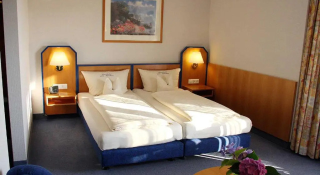 Двухместный номер Standard Landhotel Napoleon