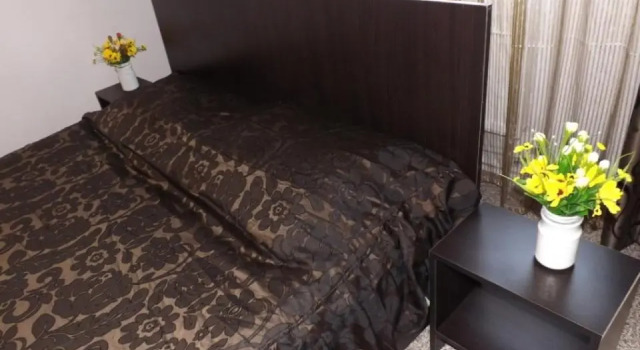 Одноместный номер Standard с красивым видом из окна Casa Dobrescu Centura De Nord