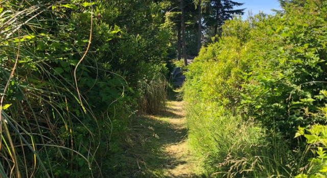 Sounds of the Sea, Забронировать Отель Уклуэлет Pacific Rim Vancouver Island