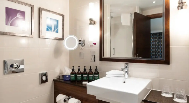 Двухместный клубный номер Premium Crowne Plaza London - Gatwick Airport by IHG