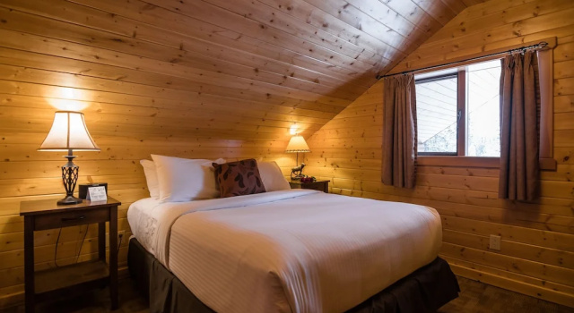Люкс c 1 комнатой с балконом Castle Mountain Chalets