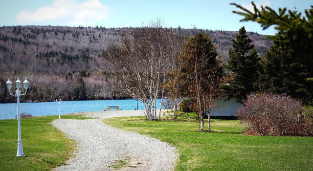 The Cove Cabins