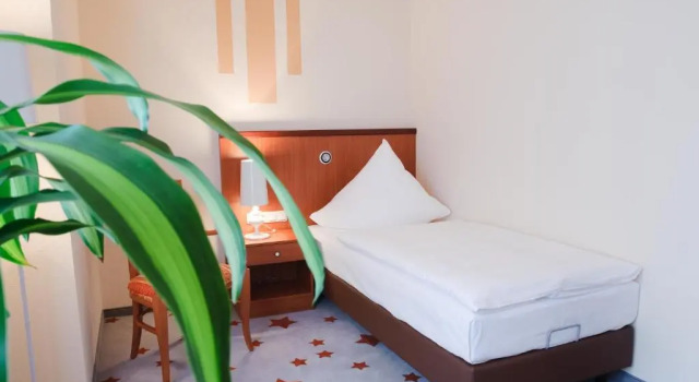 Одноместный номер Standard Stadthotel Stern