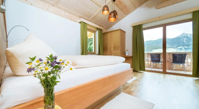 Люкс с видом на горы Alpenhotel Wanderniki