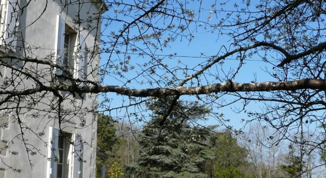 Коттедж Château de la Comtesse