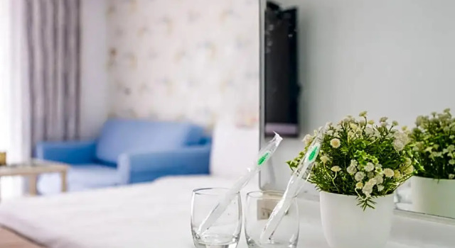 Двухместный номер Standard с видом на сад Star Hotel