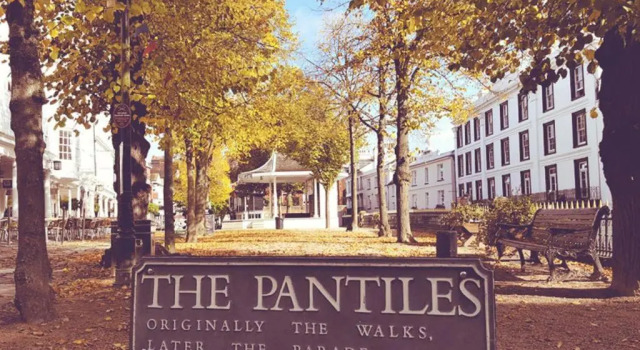 Апартаменты Stunning Large 1-bed Apartment in Tunbridge Wells
