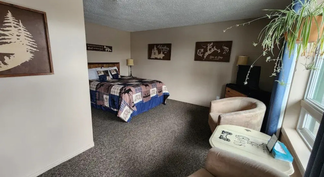 Номер Deluxe Dwight Village Motel