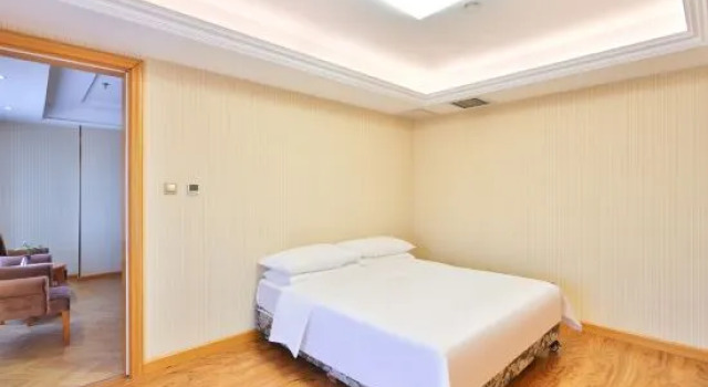 Люкс Superior Vienna Hotel (Huichun )