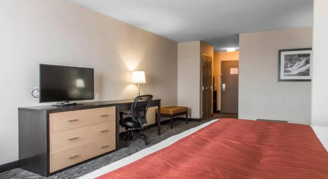 Номер Standard Quality Inn & Suites Kingston