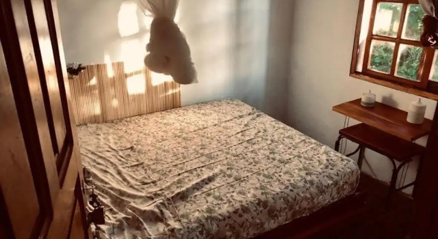 Woodstock Hostel, Book Hostel / Vandrerhjem Billige hoteller i Guanacaste