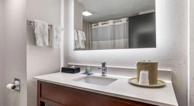 Двухместный номер Standard Best Western Canton Inn