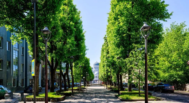 Апартаменты c 1 комнатой Kaunas City Center Deluxe