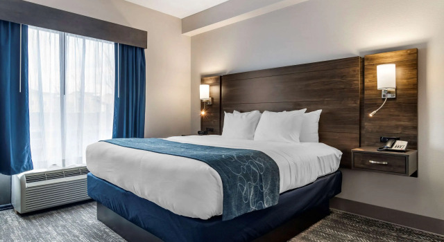 Двухместный люкс Comfort Suites McDonough Atlanta South